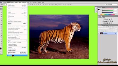 3 - تعديل مظهر الواجهة ( دورة فوتوشوب  Photosop CS6 )
