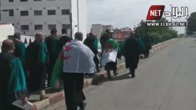 لأول مرة في تاريخ الجزائر: قضاة مجلس المحاسبة يخرجون للشارع في مسيرة لمساندة الحراك الشعبي