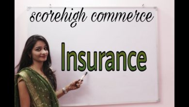 Insurance I business study I class 11th I chapter 4 I part 4
