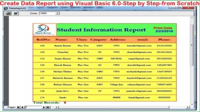 Visual Basic tutorial-Data Report using Data Environment (Print and Export report)-Step by Step