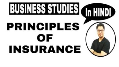 Class 11 (CBSE) | Principles of Insurance | Business Studies by Sunil Adhikari |