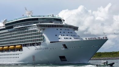 Hurricane Dorian hits cruise lines, insurance and airline industries