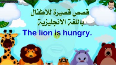 تعلم اللغة الانجليزية ـ Sara at the zoo قصص الاطفال باللغة الانجليزية