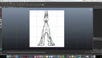 عمل مجسم كلب باستخدام المايا - Maya dog modeling