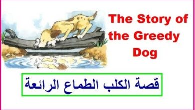 The Story of the Greedy Dog  قصة الكلب الطماع الرائعة