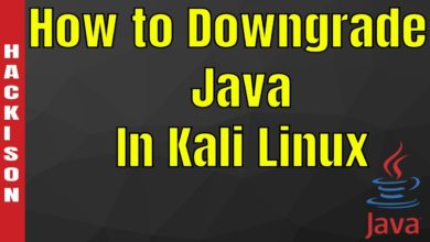 How to Downgrade Java in Kali Linux ( 2018 New Research )