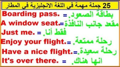 جمل وعبارات شائعة ومهمة في اللغة الانجليزية (في المطار 2).