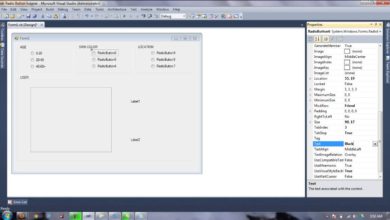 Simple RadioButton Example Tutorial - Visual Basic 2010