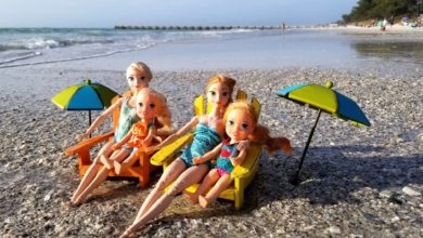 Beach ! Elsa and Anna toddlers - sand play - prank - slide - boat - dog - water fun - splash