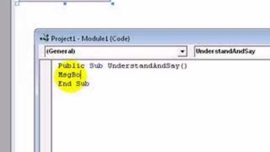 How To Add/Use A Module in Visual Basic 6.0