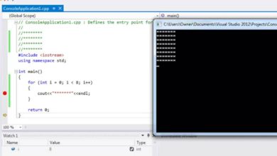 7- مقدمة للبرمجة باللغة سي ++: for loop and nested loops examples