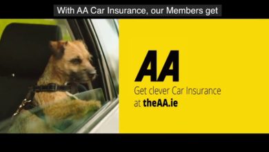 AA Car Insurance - Who's got clever car insurance?
