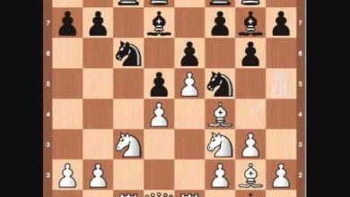 Famous Chess Game: Fischer vs Panno