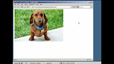 How to Insert an Image in a Webpage (HTML / XHTML)
