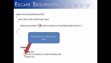 Escape Sequences: " \ n t r (Java)