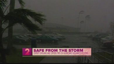 Safe From the Storm: Zephyr Insurance