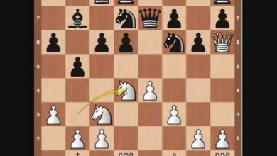 Famous Chess Game: Kasparov vs Topalov 1999 (Kasparov's Immortal)