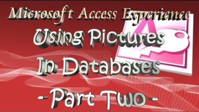 طريقة للتعامل مع الصور في قواعد بيانات Access عند التنقل بين السجلات - UI ǂ14