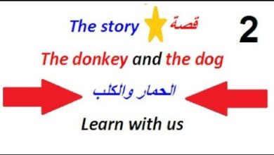 كورس شامل لتعلم اللغة الانجليزية :تعلم الإنجليزية من الصفر عن طريق قصة بسيطة وسهلة