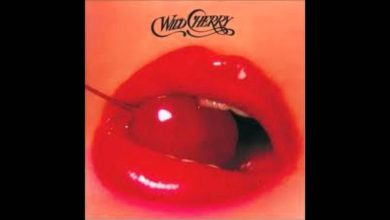 Wild Cherry-Play that funky music W/ lyrics