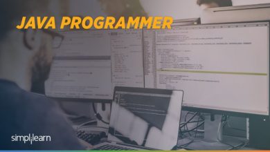Java Programmer | Java Programmer Job | What a Java Developer Does | Java Developer Work in Company