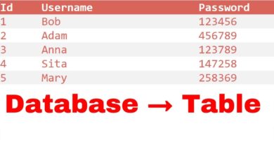 How to Display Data from MySQL Database into HTML Table using PHP