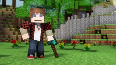 ♪ "Hunger Games Bajan Canadian Song" - A Minecraft Parody of Decisions by Borgore (Music Video)