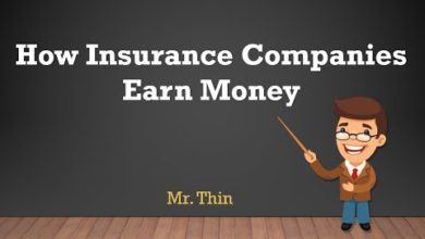 How Insurance Companies EarnsMoney | Insurance Business Model