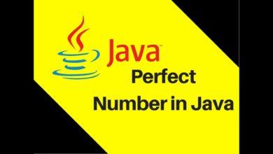 5.15 Perfect Number in Java