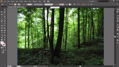 How to Crop Image in Illustrator