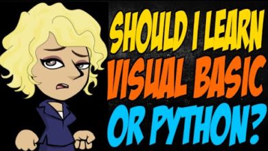 Should I Learn Visual Basic or Python?