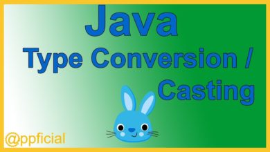 Java Type Conversions and Type Casting - int to double - double to int - Appficial