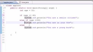 Java Programming Tutorial - 19 - else if Statement