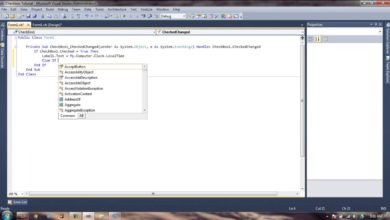Checkbox Example Tutorial - Visual Basic 2010