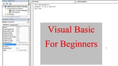 Visual Basic for Learners 1. Some basic code and commands