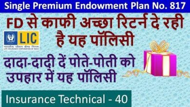 LIC Single Premium Endowment  Plan No 817 in Hindi Life Insurance Policy