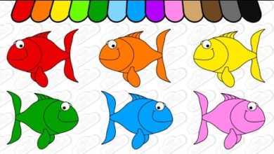 تعليم الألوان للاطفال - تعلم الانجليزية للاطفال - العاب اطفال 3 سنوات - Learn the Colors