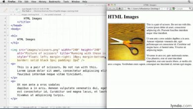 HTML tutorial: Flowing text around an image | lynda.com