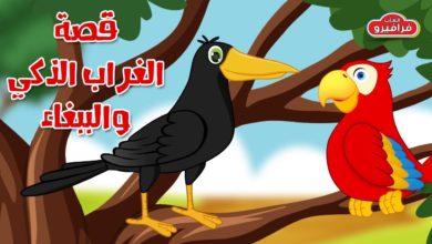 قصة الغراب الذكي - قصص اطفال قبل النوم - تعليم الاطفال حكايات عربية