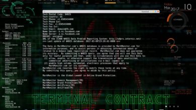 Certified Ethical Hacking Course   CEH v 9  Whois and dns Footprinting