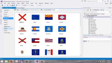 How to add images to a Visual Basic application