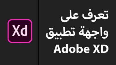 تعرف على واجهة تطبيق أدوبي إكس دي - Adobe XD