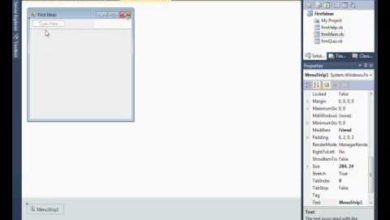 03-Adding a menu bar to a Visual Basic program