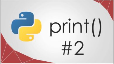 Mini-Python || 2 || print()