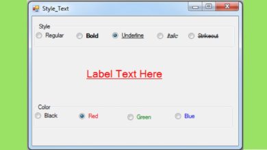 VB.NET - How To Style Text Font In Visual Basic .Net [ with source code ]