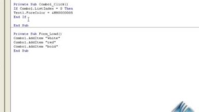 Visual Basic 6.0 - Using a combo box - Tutorial 2