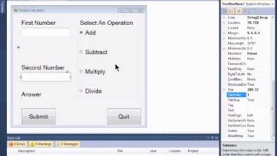 Visual Basic 2010 Express Tutorial 6 - Data Parsing Error Checking and An User Friendly Interface