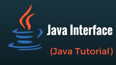 Java Interface Example:Java Tutorial for Beginners