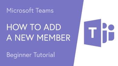 How to Add a New Member to a Microsoft Team
