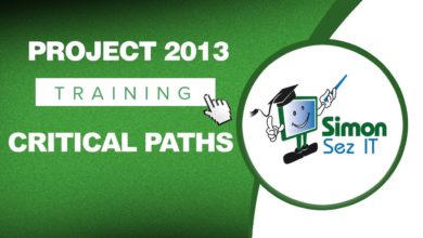 Microsoft Project 2013 Training - Critical Paths